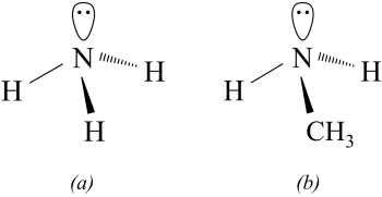 Hóa học 12, Hình học phân tử ammonia và amine