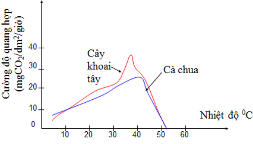 Công nghệ 10, cánh diều, olm