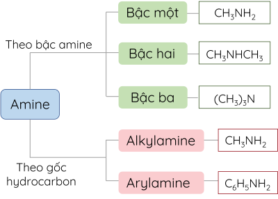 Hóa học 12, Phân loại amine