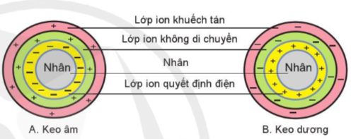 Công nghệ 10, cánh diều, olm