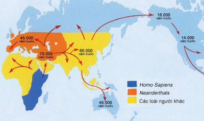 sinh học 12, nguồn gốc loài người