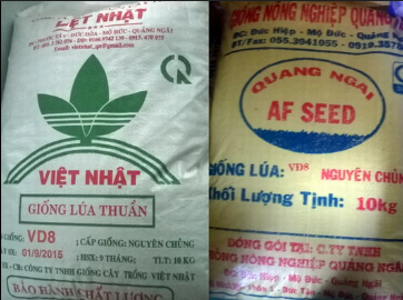 Công nghệ 10, kntt, olm