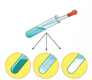 Công nghệ 10, kntt, olm