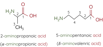 Hóa học 12, Amino acid 