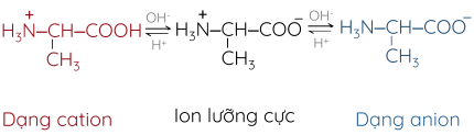 Hóa học 12, Amino acid trong dung dịch