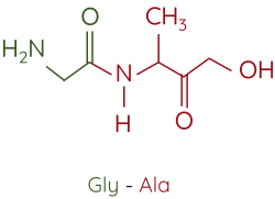 Hóa học 12, Dipeptide