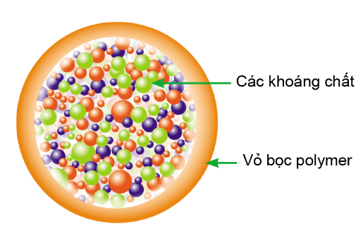 Công nghệ 10, cánh diều, olm