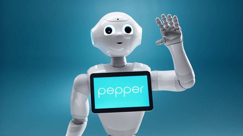 Chú robot Pepper