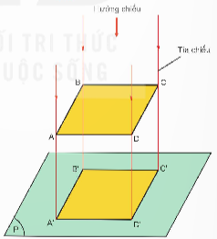 Công nghệ 8, kntt