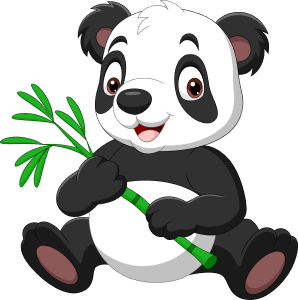 panda gấu trúc olm