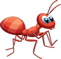 ant con kiến olm