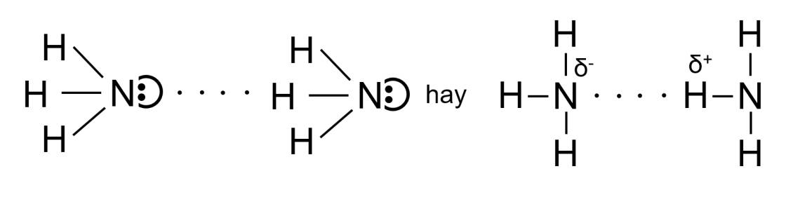 lien ket hydrogen nh3.png