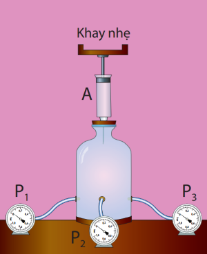 khoa học tự nhiên, lớp 8, truyền áp suất