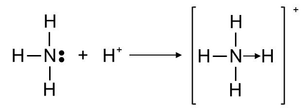 Hình thành ion ammonium