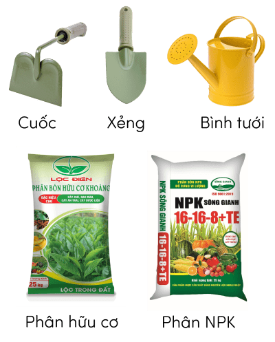 sinh học 12, dụng cụ thí nghiệm