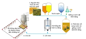 Công nghệ 11, Quy trình công nghệ lên men lỏng trong chăn nuôi lợn