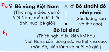 sinh học 12, phép lai giống trong nước và giống nhập nội