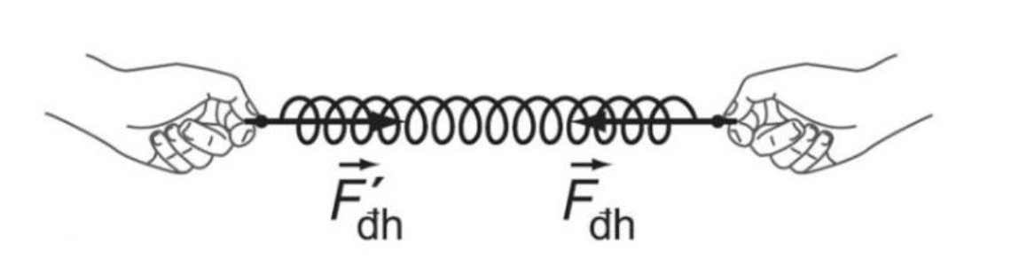 Ảnh minh họa chiều của lực đàn hồi