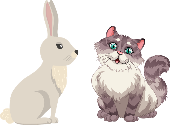 a rabbit and a cat olm