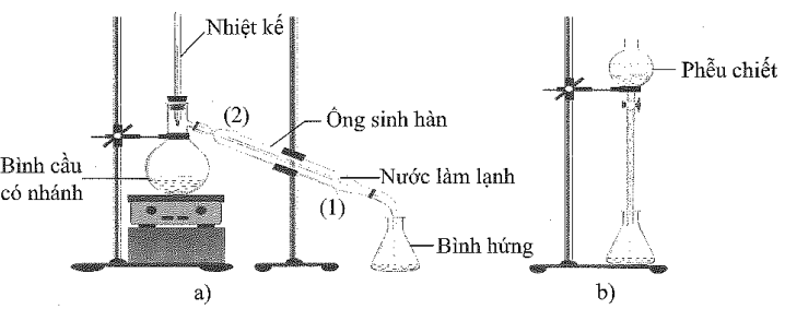 Minh hoạ phương pháp điều chế isoamyl acetate trong phòng thí nghiệm.