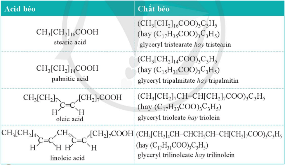 Một số acid béo thường gặp