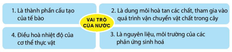 Vai trò của nước