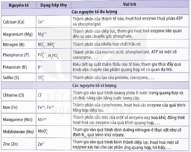 Bảng 2.1. Vai trò của một số nguyên tố khoáng thiết yếu đối với thực vật