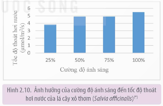 Ảnh hưởng của cường độ ánh sáng đến tốc độ thoát hơi nước của cây