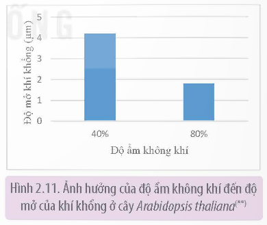 Ảnh hưởng của độ ẩm không khí đến độ mở của khí khổng