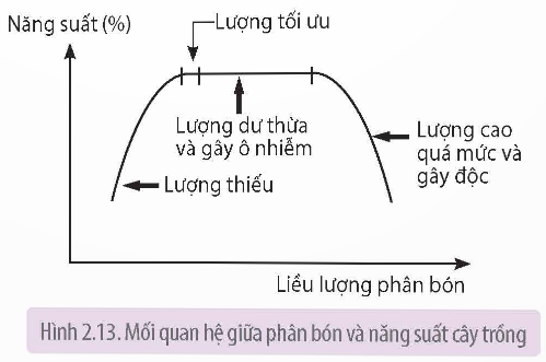 Mối quan hệ giữa phân bón và năng suất cây trồng