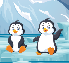 penguins olm