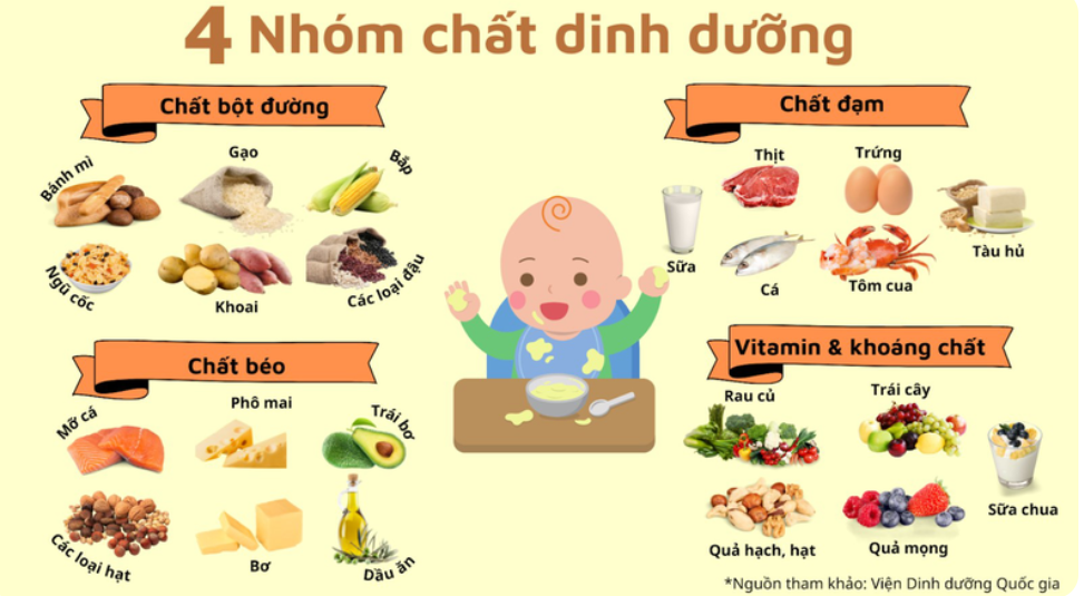 Các nhóm chất dinh dưỡng cần thiết cho cơ thể người