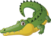 crocodile olm