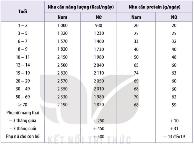 Nhu cầu về năng lượng và protein theo lứa tuổi và trạng thái sinh lí