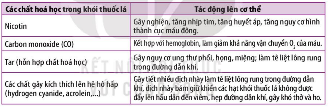 Khói thuốc lá và tác động của khói thuốc lá