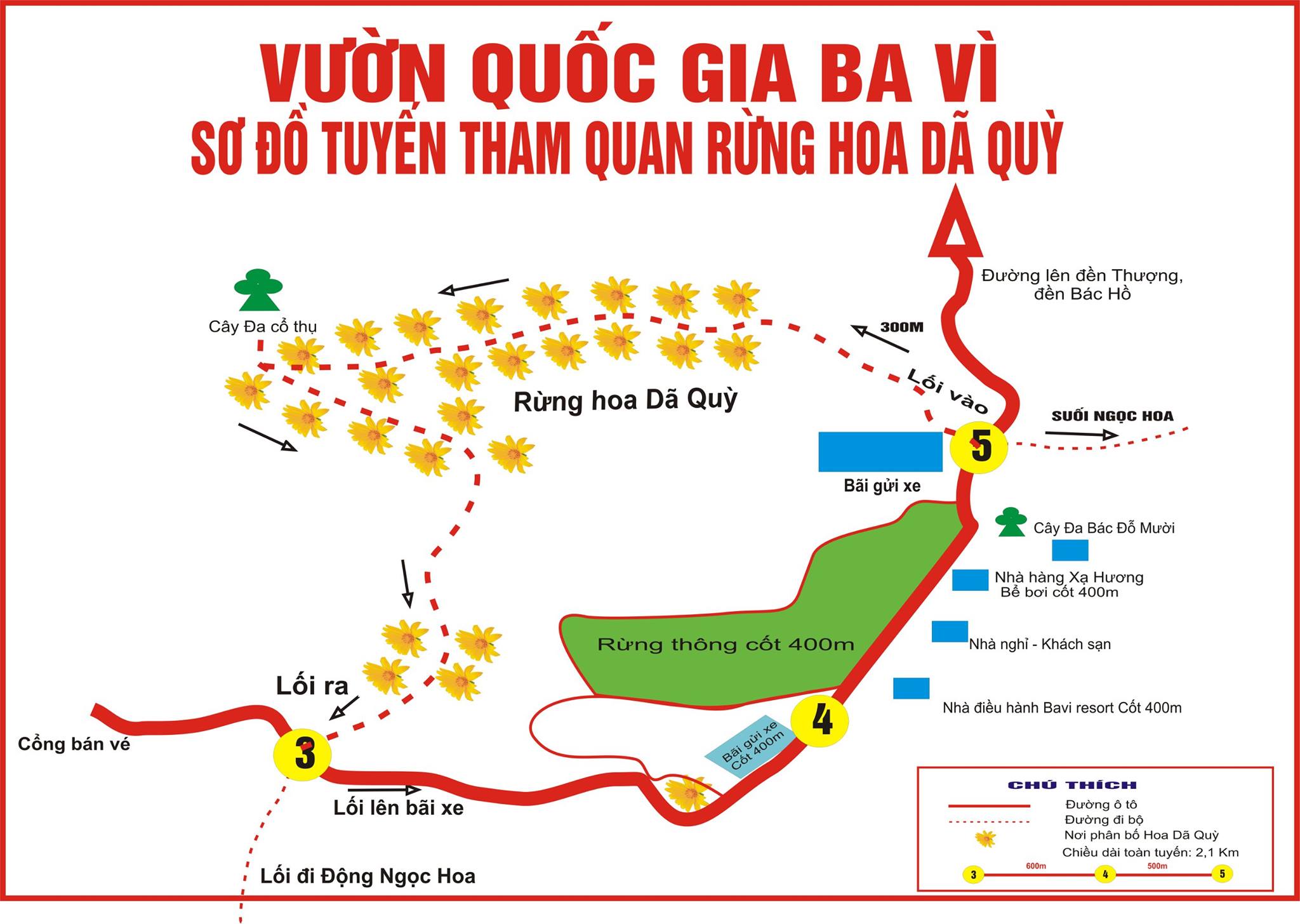 sơ đồ vườn hoa dã quỳ