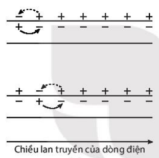 Lan truyền của điện thế hoạt động trên sợi thần kinh không có bao myelin 