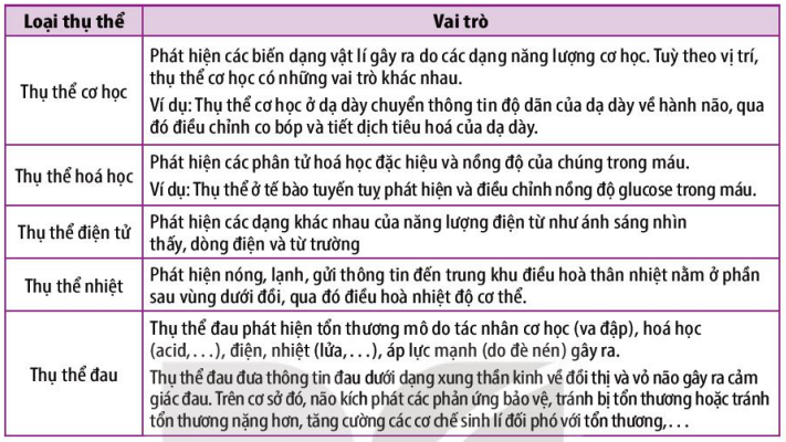 Vai trò của các thụ thể cảm giác