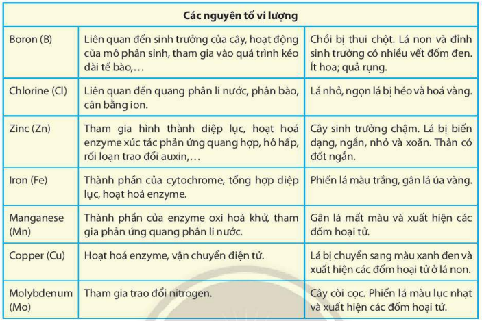 Vai trò của một số nguyên tố khoáng thiết yếu ở thực vật