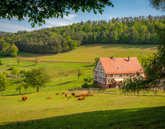 in the countryside olm