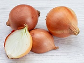 onions olm