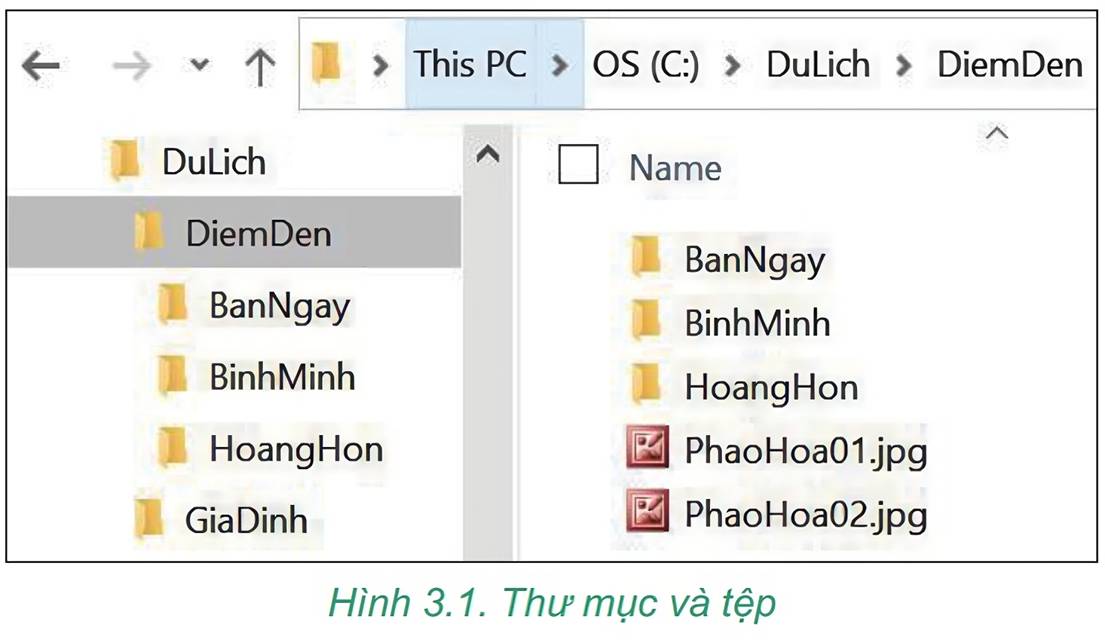 Hình 3.1.olm