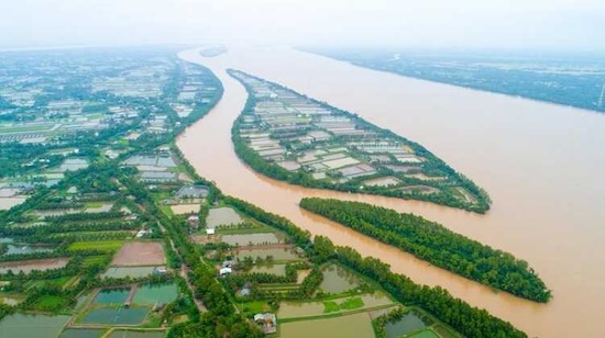 Cù lao Tân Quy trên sông Hậu (Trà Vinh)