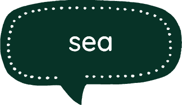 sea olm