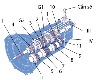 Công nghệ 11, cấu tạo hộp số ô tô