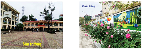 Ảnh được chèn thêm văn bản