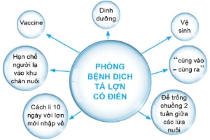 Công nghệ 11, các biện pháp phòng bệnh dịch tả lợn cổ điển