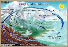 Vòng tuần hoàn nước – Wikipedia tiếng Việt