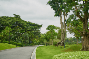 Sinh 11, môi trường không bị ô nhiễm