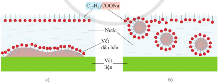 Hình 3. Sơ đồ mô tả cơ chế giặt rửa của xà phòng. a) Quá trình thâm nhập của phần kị nước của xà phòng vào vết dầu mỡ; b) Quá trình các hạt dầu, mỡ nhỏ bị các phân tử xà phòng phân tán vào nước.